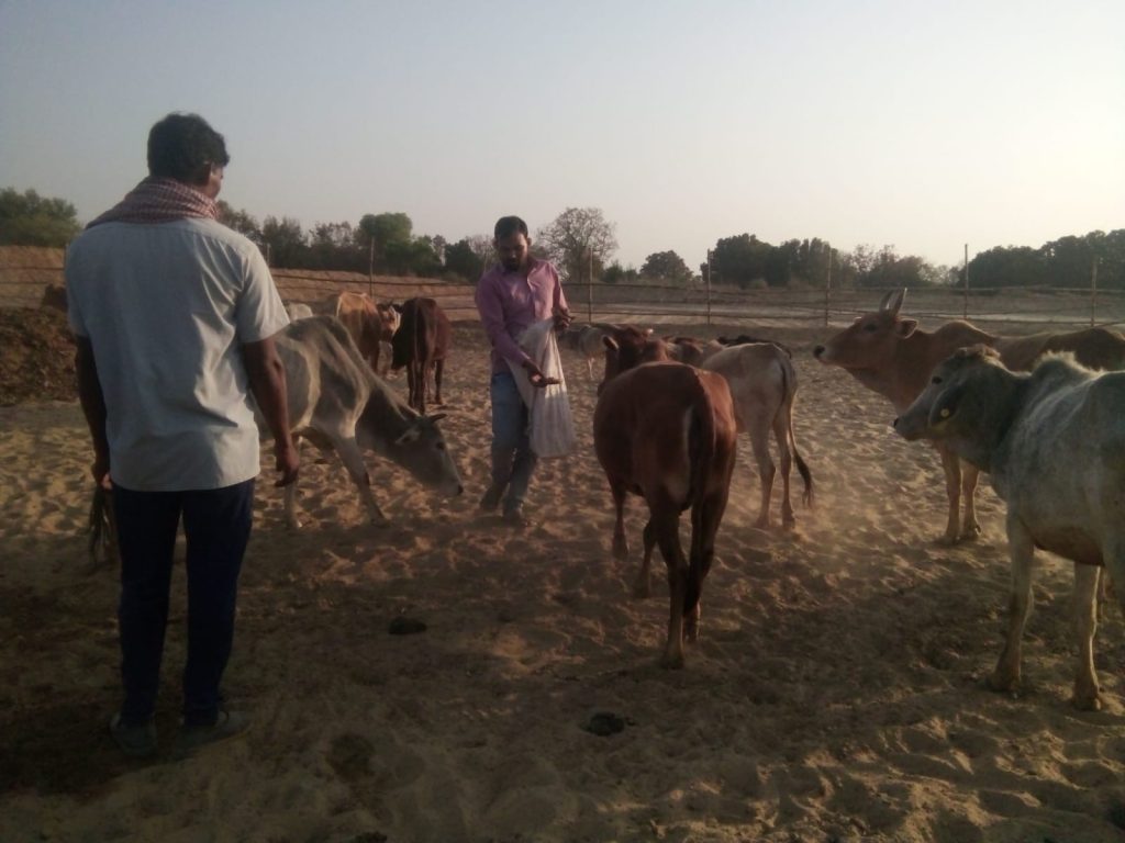 WhatsApp Image 2025-03-23 at 1.19.57 PM
